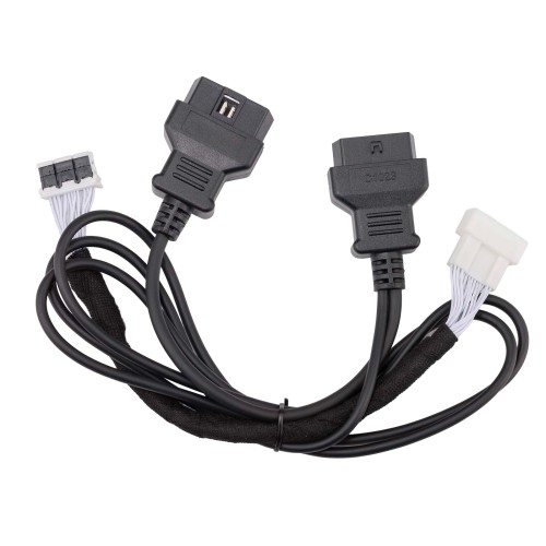 20261