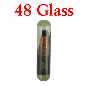 Original 48 TP08 Glass Chip  - ID 48